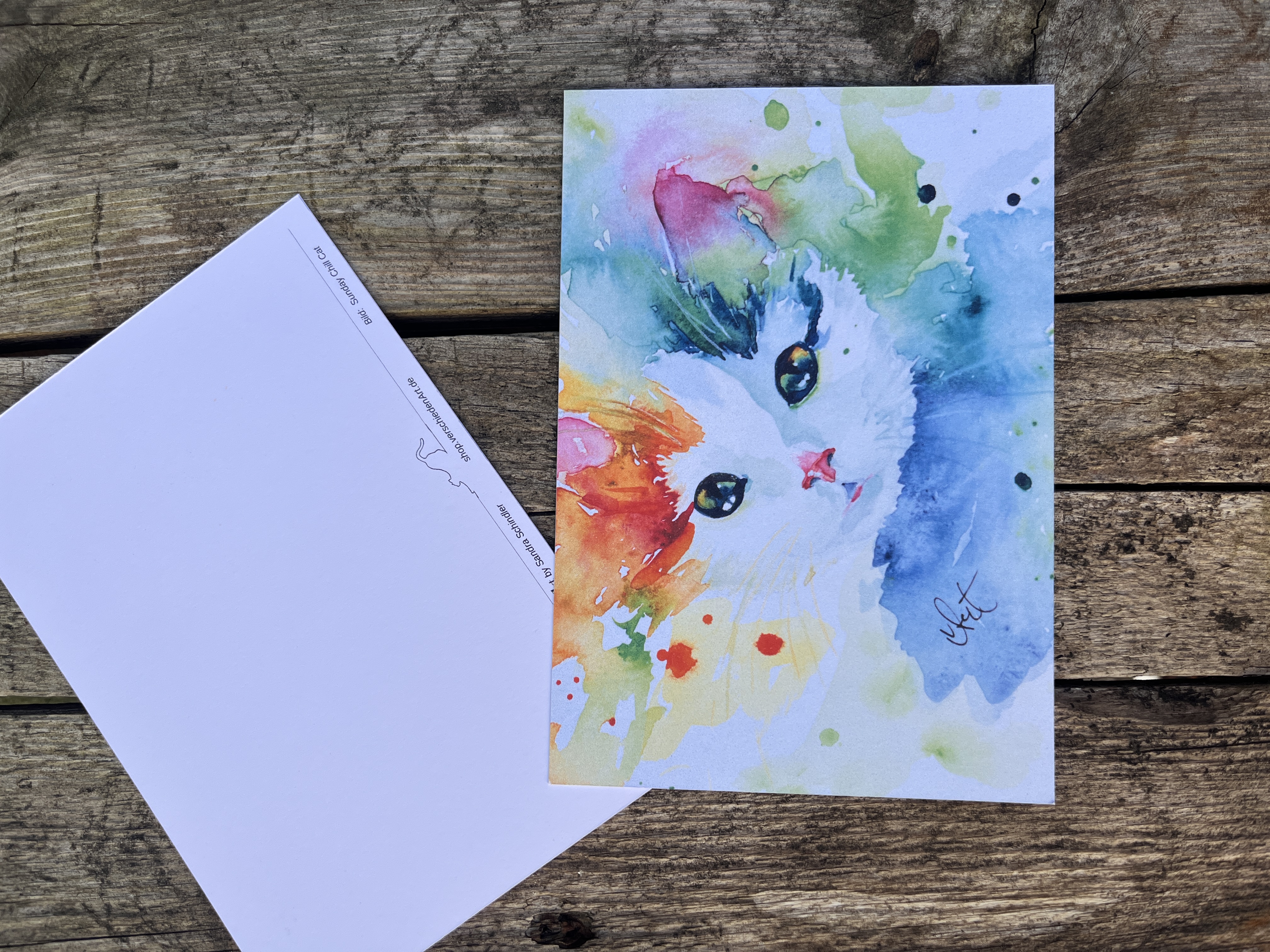 Hungriger Kater - Postkarte