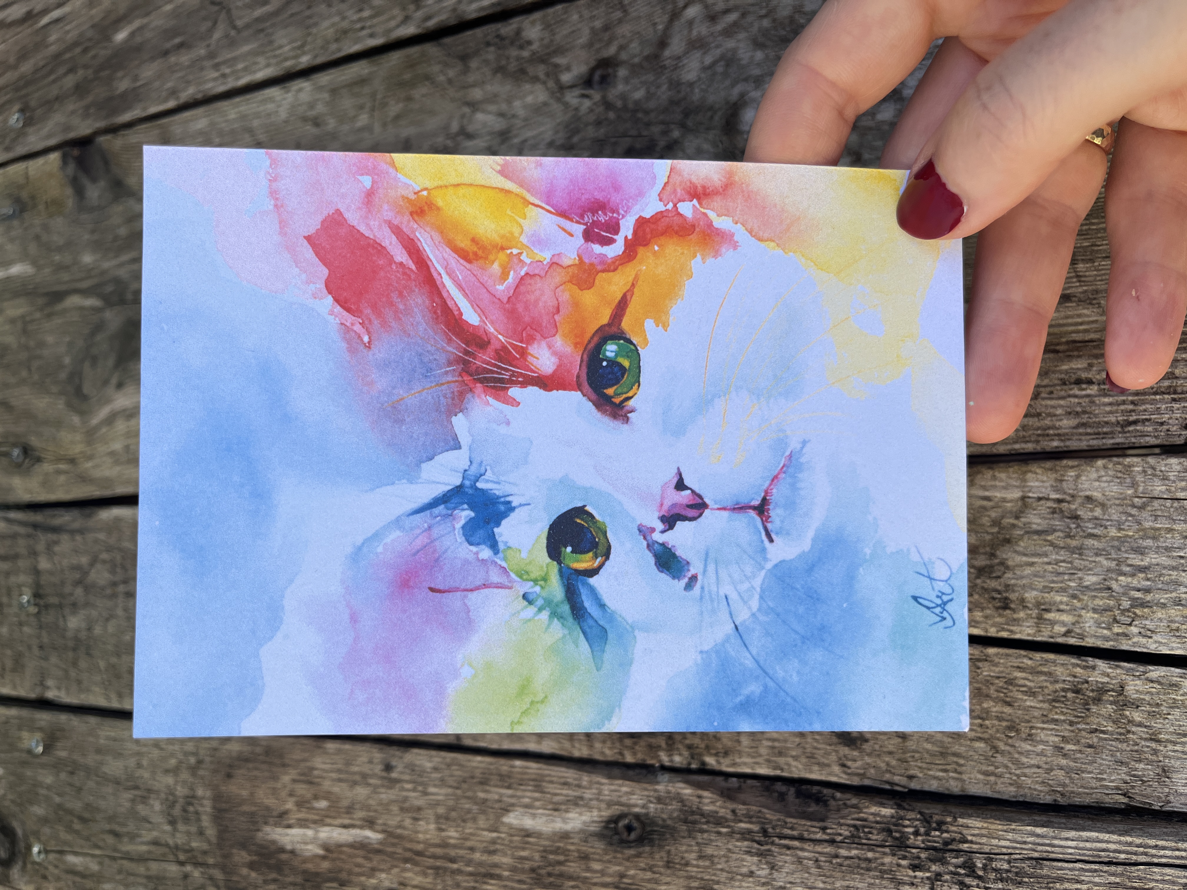 Katze Java - Postkarte