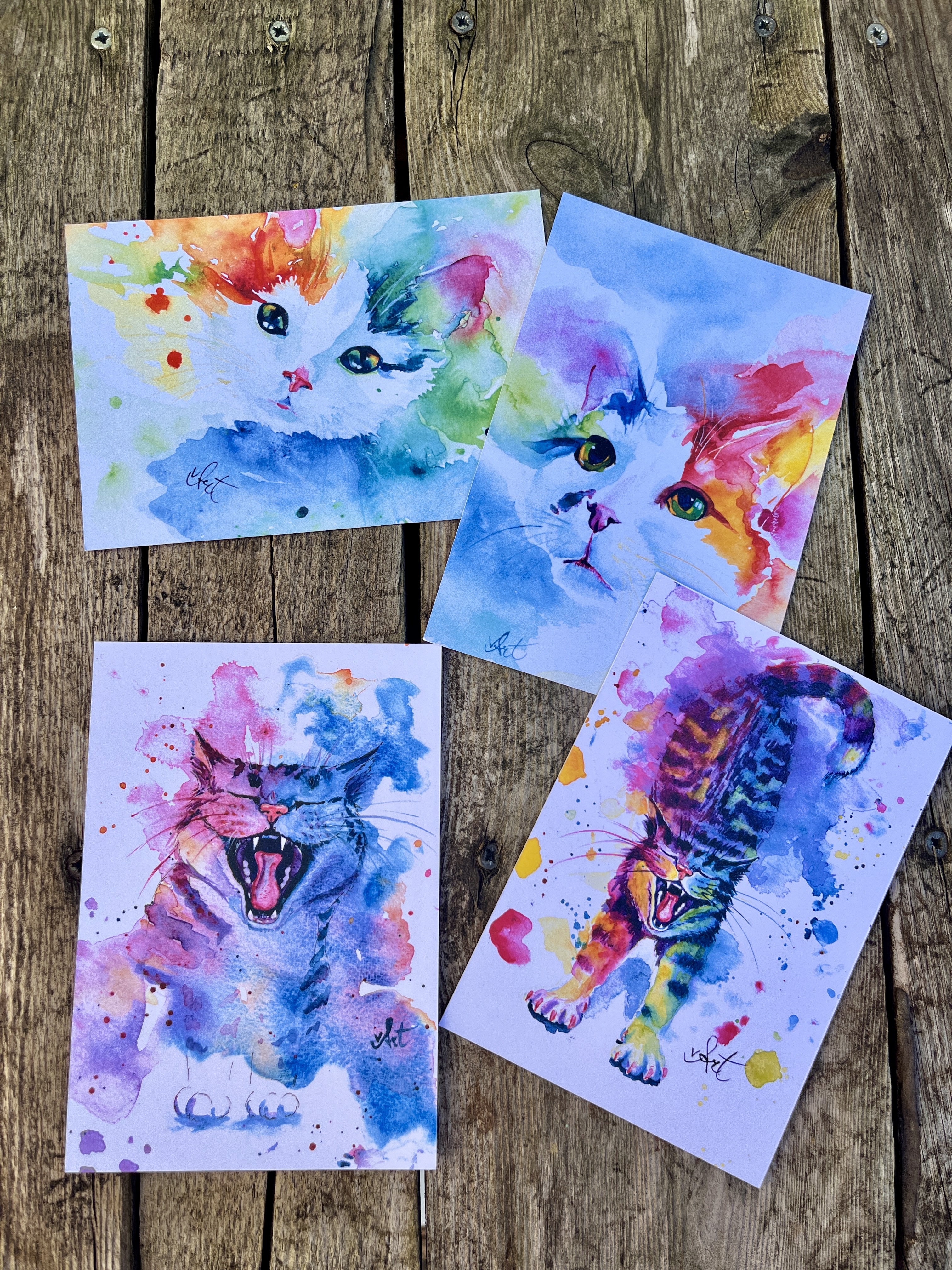 Bunte Katzen für gute Laune 4er Postkartenset