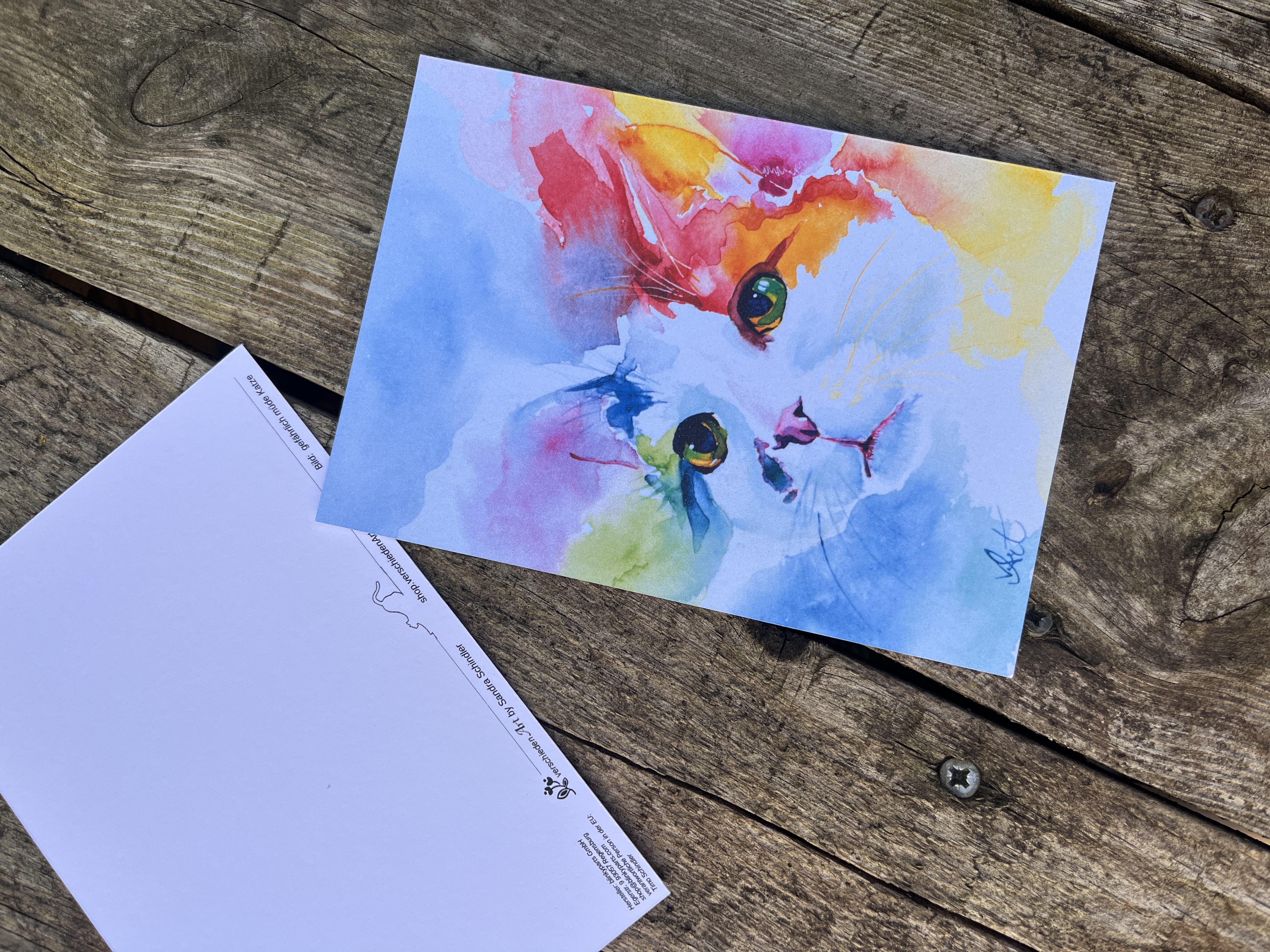 Bunte Katzen für gute Laune 4er Postkartenset
